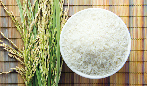 PG�齫������Ѱ�����-pg�齫�����������°��ȫ-��ɫ��Դ��