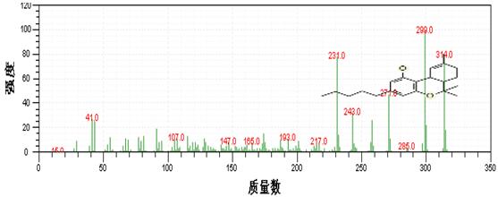 PG�齫������Ѱ�����-pg�齫�����������°��ȫ-��ɫ��Դ��
