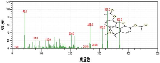 PG�齫������Ѱ�����-pg�齫�����������°��ȫ-��ɫ��Դ��