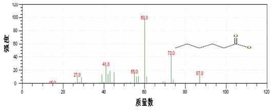 PG�齫������Ѱ�����-pg�齫�����������°��ȫ-��ɫ��Դ��